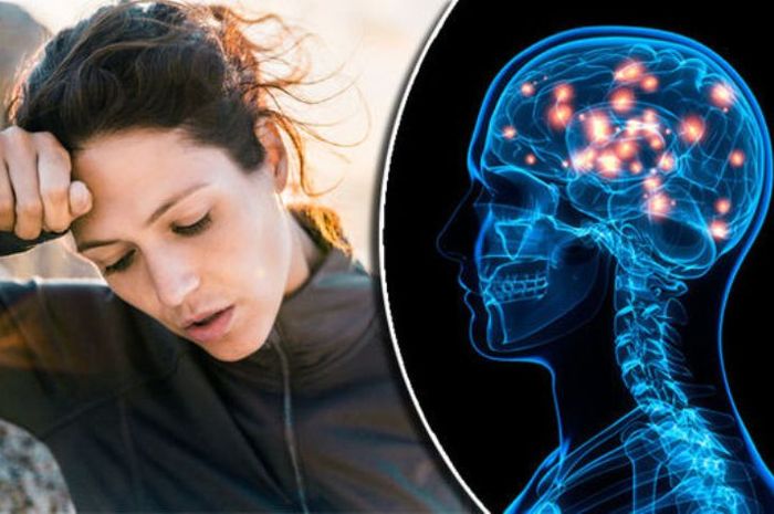 Alzheimer dimensia yang lupa pada diri sendiri dan hal - hal disekitar